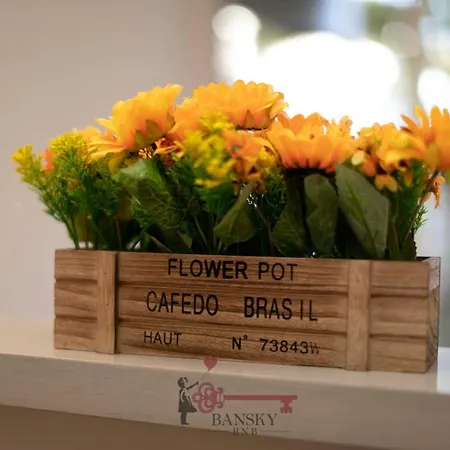 Apartment Soleil 5* With Terrace In Center *